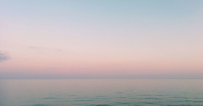 Psychedelic Assisted Therapy